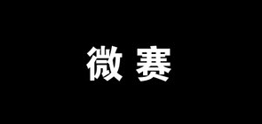 微賽品牌logo