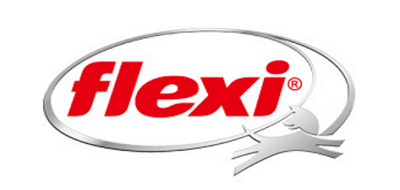 FLEXI/福萊希品牌logo