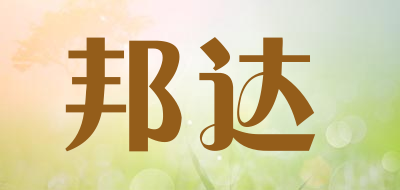 邦達(dá)品牌logo