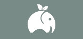 大橘籽品牌logo