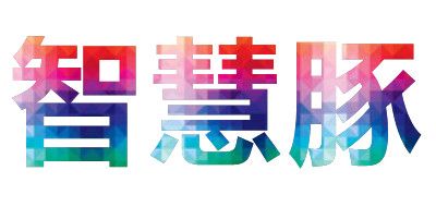 智慧豚品牌logo