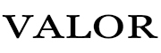 VALOR/威樂品牌logo