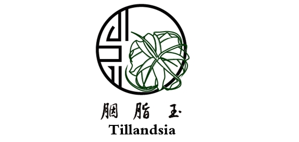 胭脂玉品牌logo