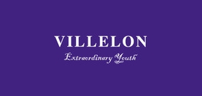 Villelon/武林狼品牌logo
