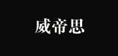 VTTSI/威帝思品牌logo