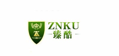 臻酷品牌logo