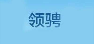DRIVELEADER/領(lǐng)騁品牌logo