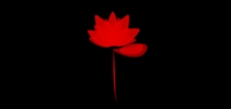 禾瑪品牌logo