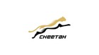 獵豹龍品牌logo