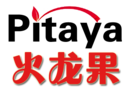 Pitaya/火龍果品牌logo