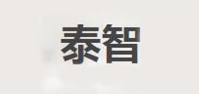 泰智品牌logo