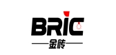 BRIC/金磚品牌logo