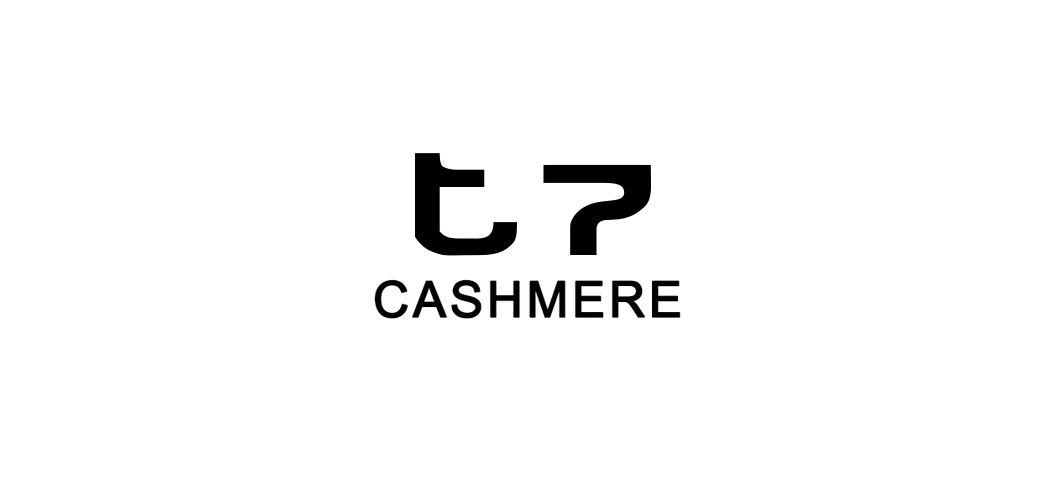 t7品牌logo