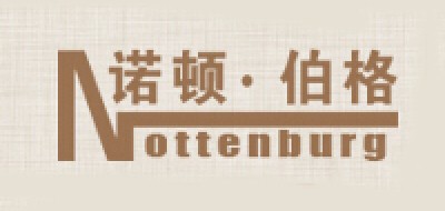 NORTON/諾頓品牌logo