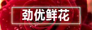 勁優(yōu)品牌logo