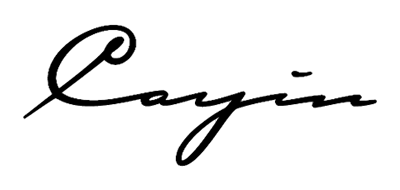 cayin品牌logo