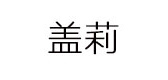 蓋莉品牌logo