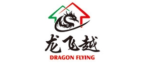 龍飛越品牌logo