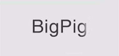 BigPig品牌logo