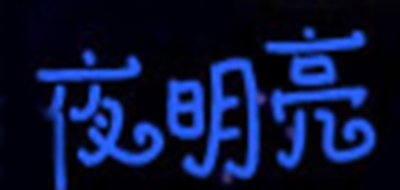 夜明亮品牌logo