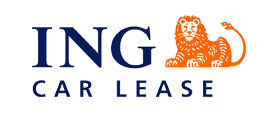 INg/英格品牌logo