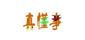 真懂事品牌logo