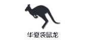 華夏袋鼠龍品牌logo