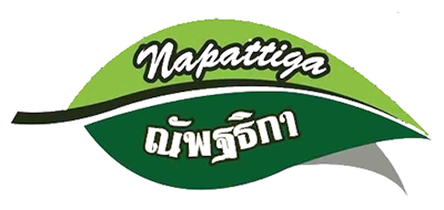 娜帕品牌logo