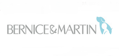 伯斯馬丁品牌logo