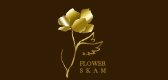 Flow品牌logo
