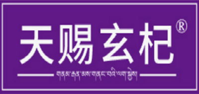 天賜玄杞品牌logo