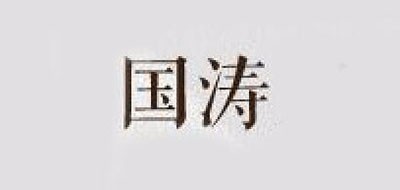 國(guó)濤品牌logo