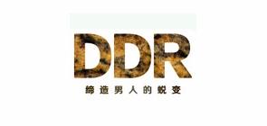DDR品牌logo