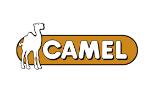 Camel/駱駝品牌logo