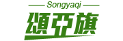 SongYaqi品牌logo