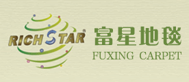 ECOsoft/富星品牌logo