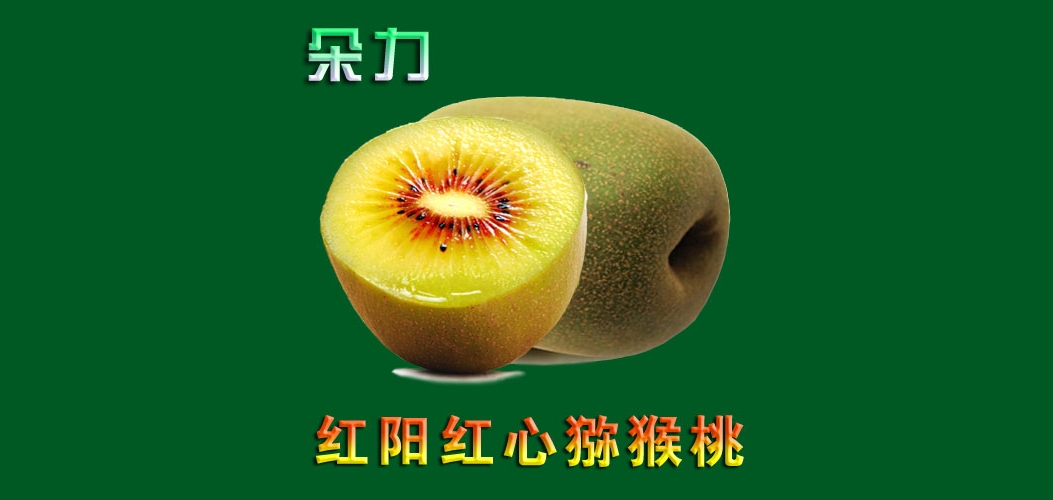 朵力品牌logo