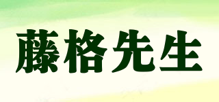 TGSIR/藤格先生品牌logo