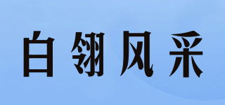 STYLE WOMAN/白翎風(fēng)采品牌logo