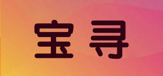 寶尋品牌logo