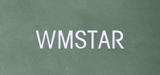 WMSTAR品牌logo