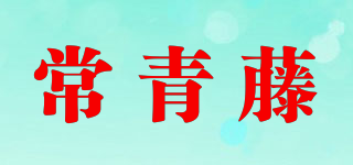 常青藤品牌logo