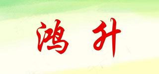 HS/鴻升品牌logo