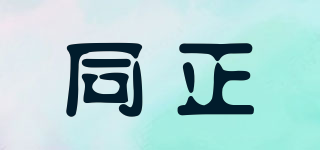 同正品牌logo