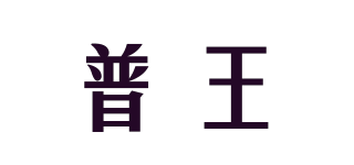PKING/普王品牌logo