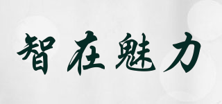 智在魅力品牌logo