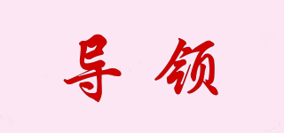 導(dǎo)領(lǐng)品牌logo