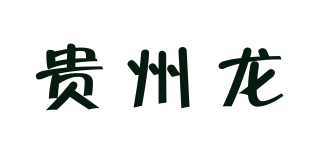 貴州龍品牌logo