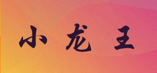 小龍王品牌logo
