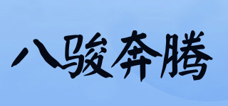 八駿奔騰品牌logo